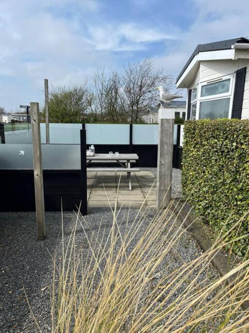 Chalet + Tiny House Nabij Strand Petten Extérieur photo